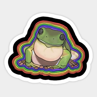 Rainbow Tree Frog // Black Sticker